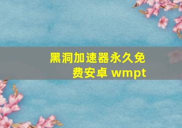 黑洞加速器永久免费安卓 wmpt